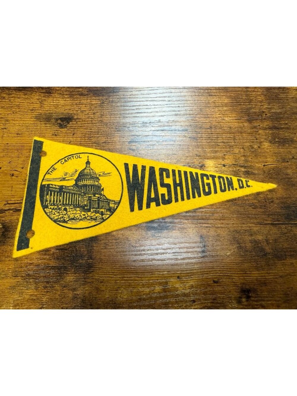 Vintage Washington D.C. mini pennant